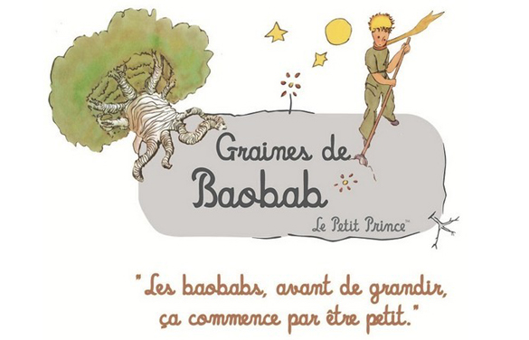 Le baobab et le cagou