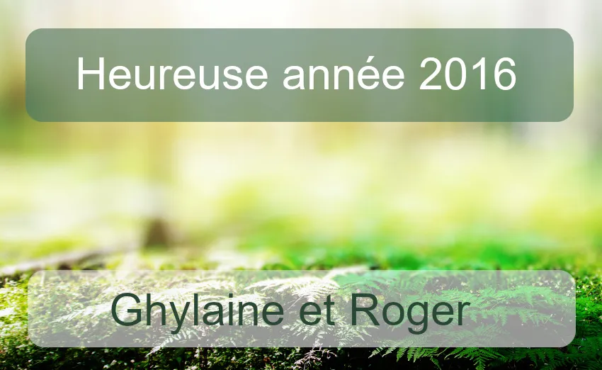 Meilleurs voeux 2016