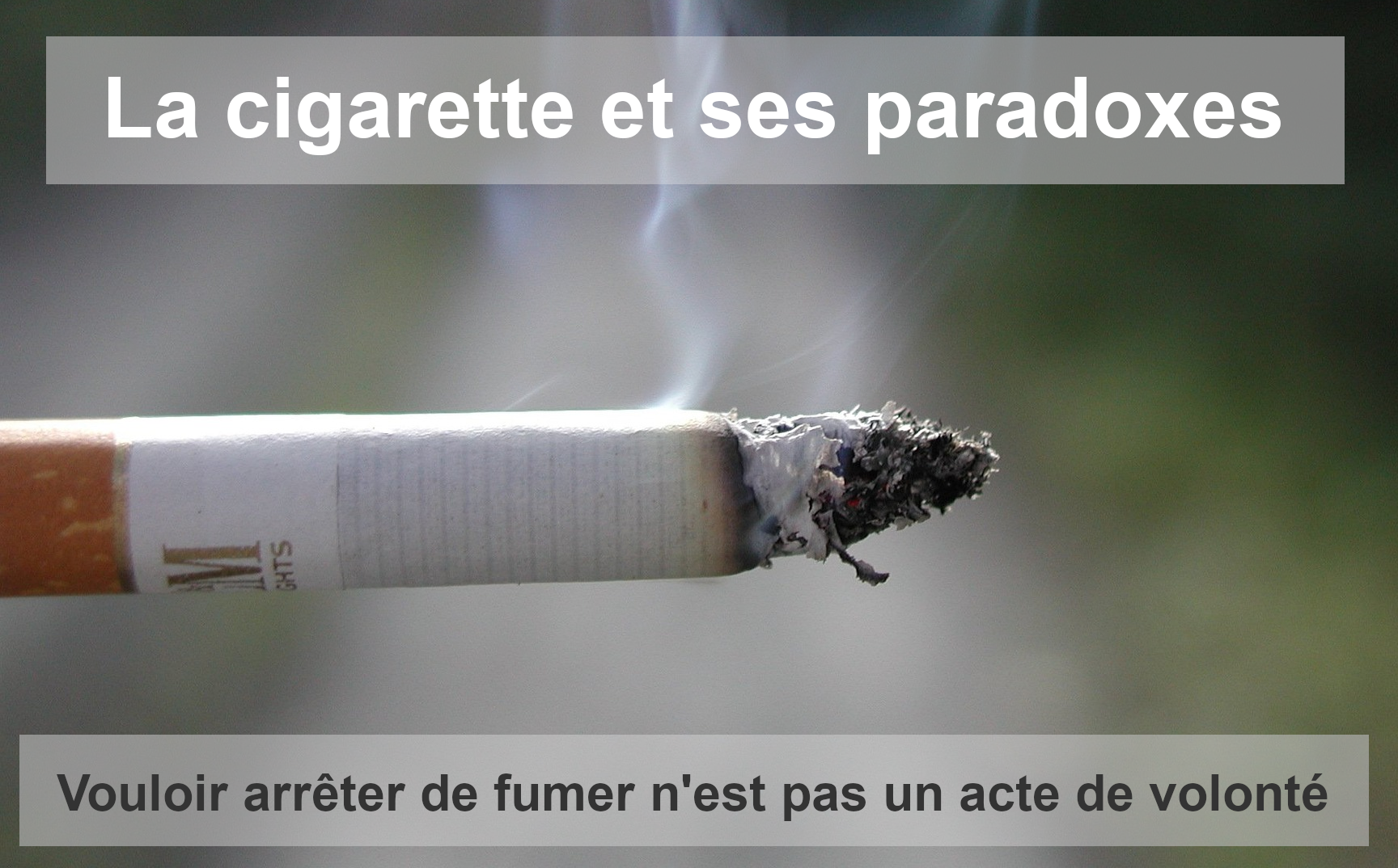 La cigarette et ses paradoxes
