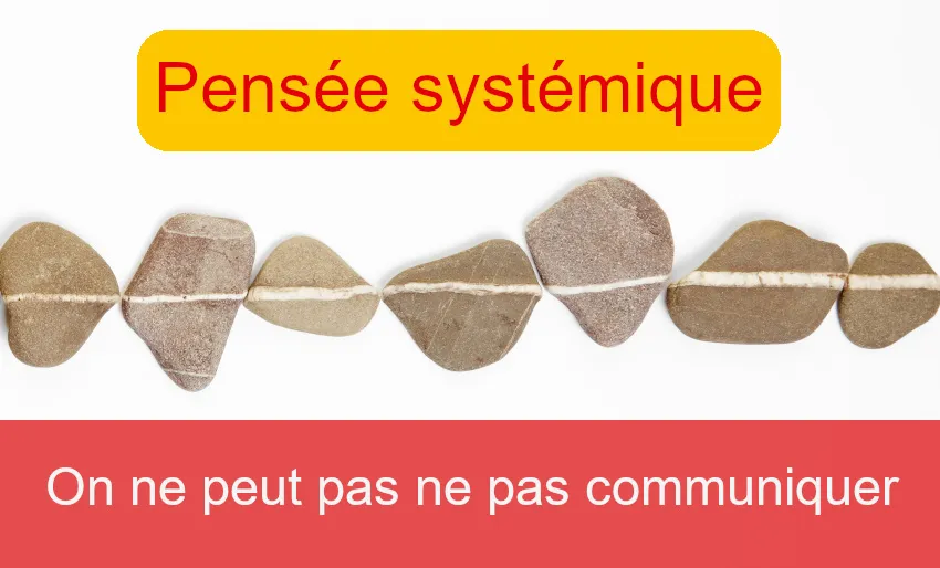 La thérapie brève et la pensée systémique