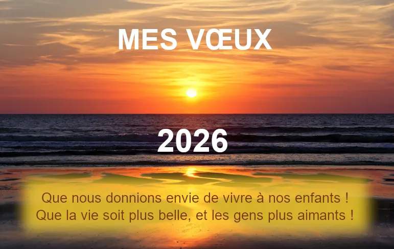 Trop, c'est trop ! ! ! Filons Vers l'ann&eacute;e nouvelle 2026
