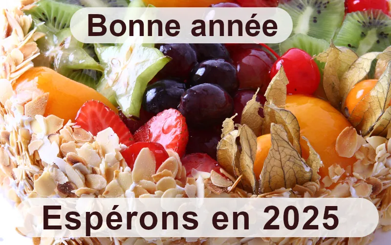 Vive L'ann&eacute;e 2025 avec cette corbeille de v&oelig;ux