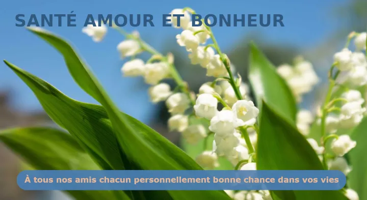 Trois brins de muguet